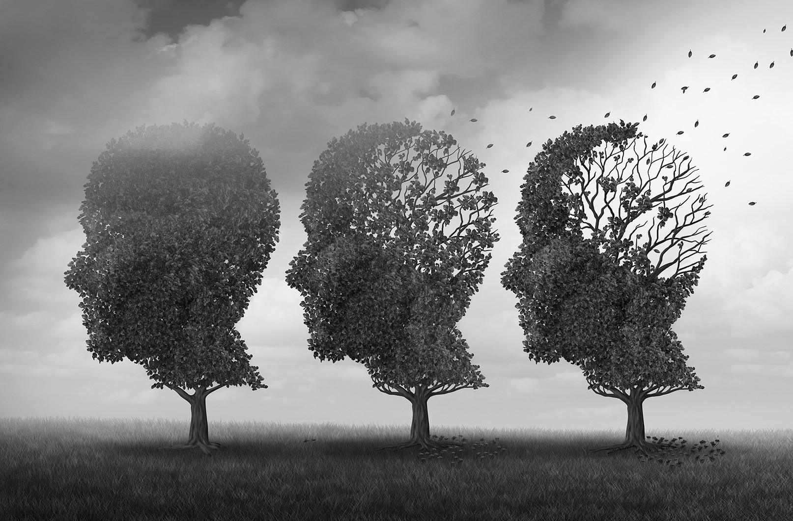 Es hereditaria la enfermedad de Alzheimer